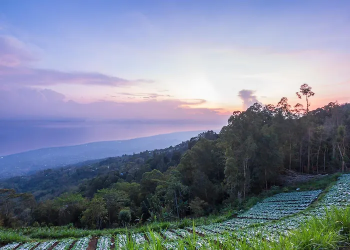 Orman Evi Alam Nirwana Kintamani